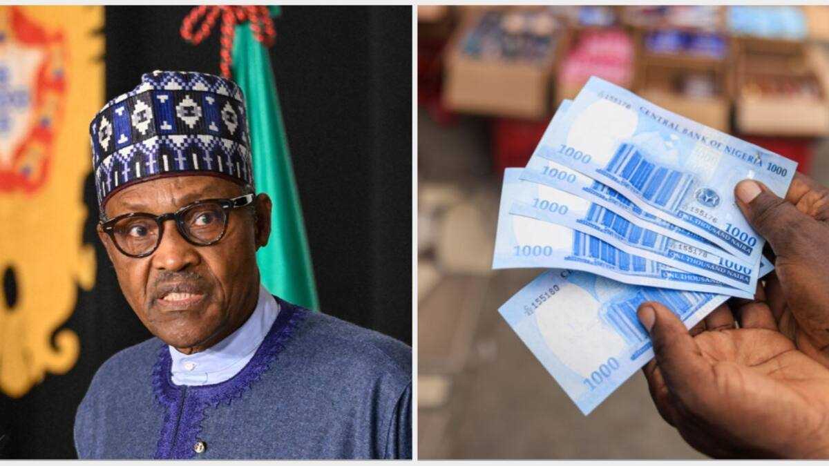 president buhari net worth 2021 - Ilustrasi 2