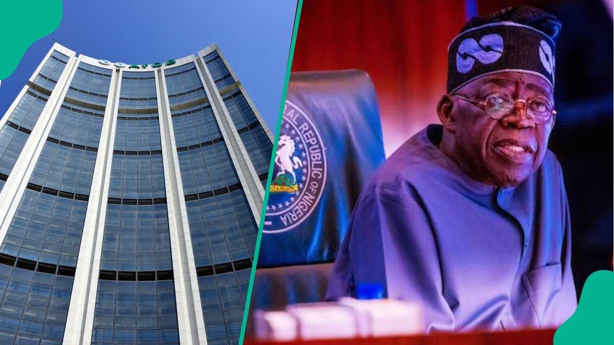 AfDB approves fresh $500m loan for Nigeria’s energy reforms