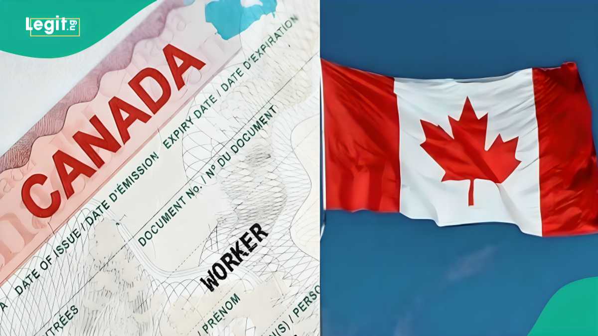 See the type of skilled labour needed by lately Canada in its immigration policy