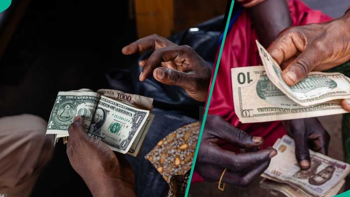 Naira Wins As Dollar Crashes to Its Lowest Exchange Rate in 2025 - Legit.ng