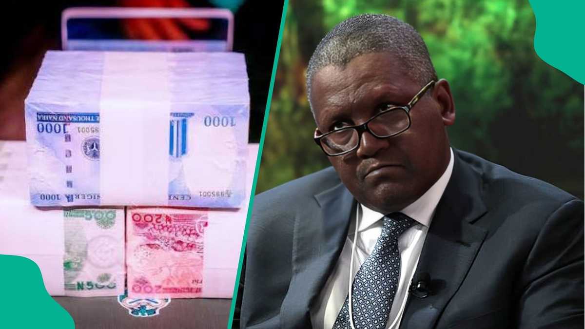 Aliko Dangote reveals biggest business mistake of his career