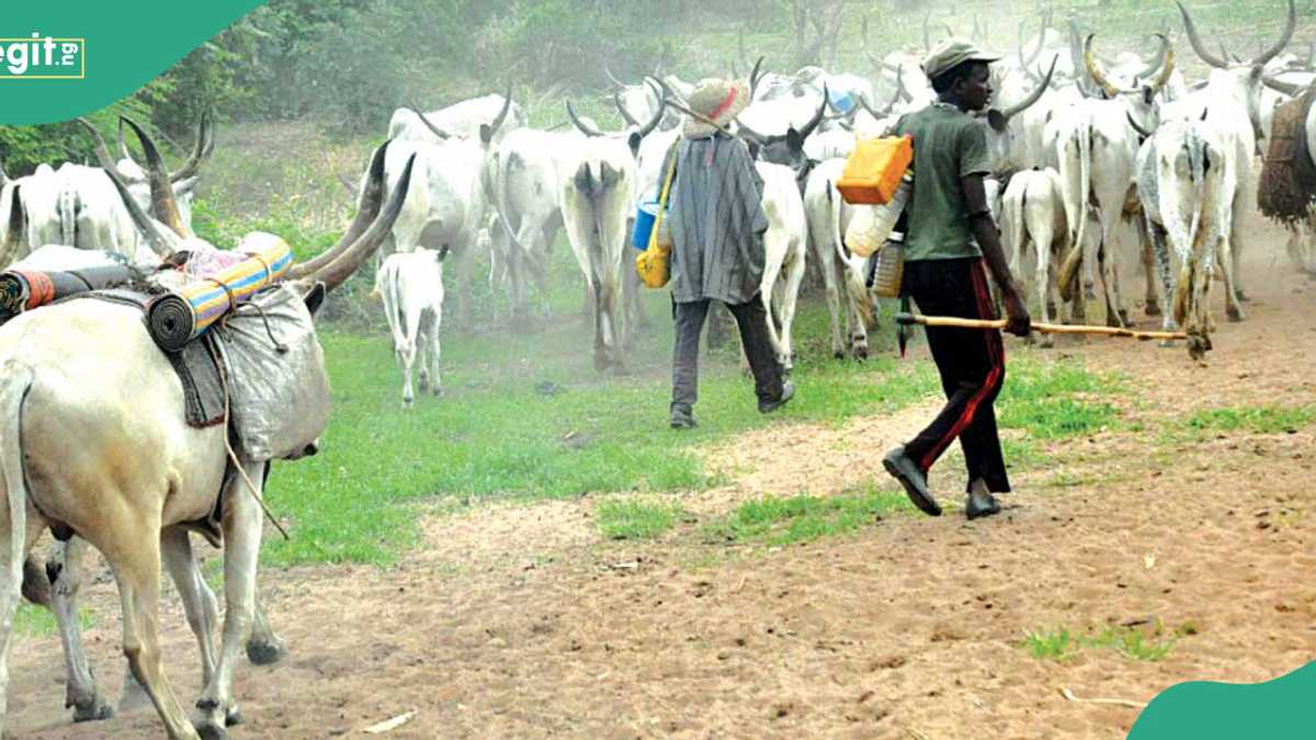 Tension as herdsmen kill 4 in latest deadly attack
