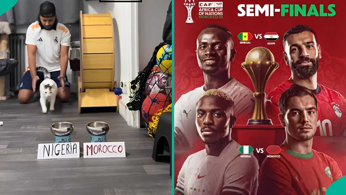 AFCON: Man’s cat who predicted past matches shows outcome of Nigeria vs Morocco semi-final clash