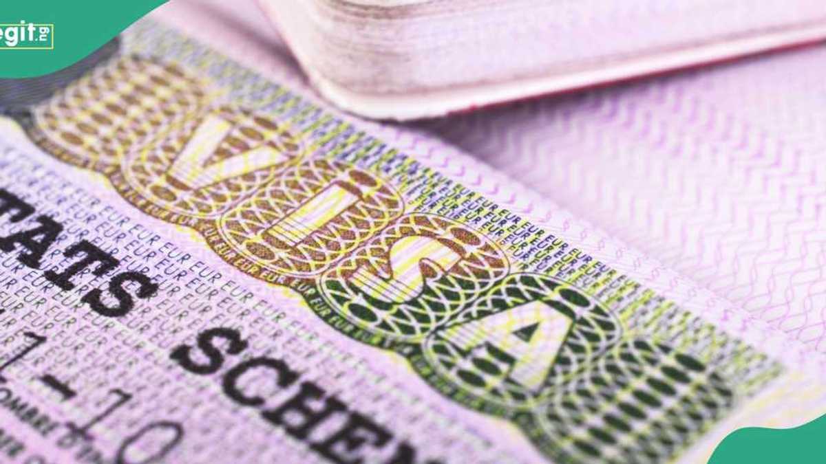 US government lists Al the work visa available in 2025