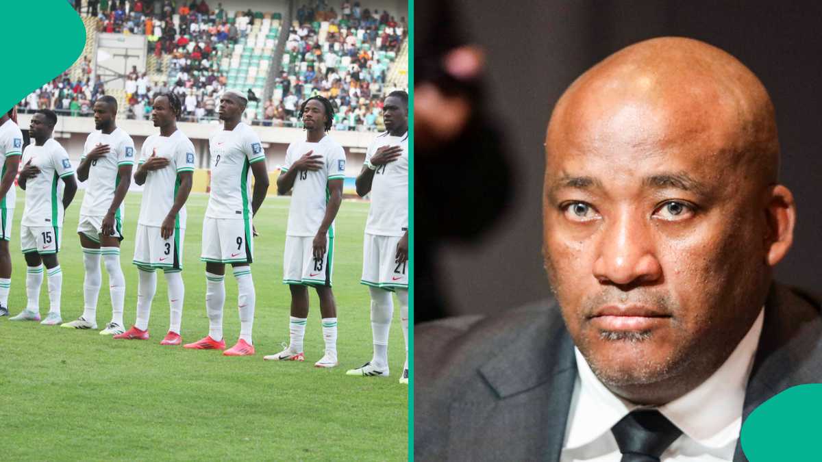 Video: South Africa's sports minister upset with Nigeria: "They must not go to the World Cup"
