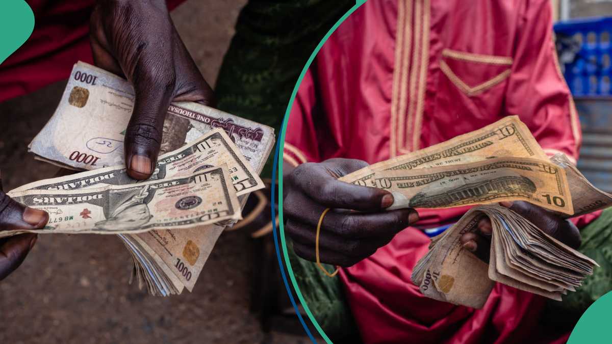Naira Weakens to N1,360 Against Dollar as IMF Warns of Undervaluation