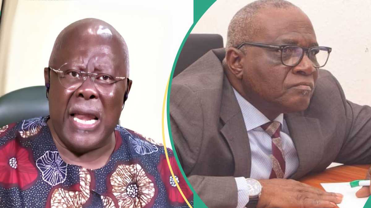 Bode George slams Tinubu's top aide over comments against Nigeria's former president, details emerge