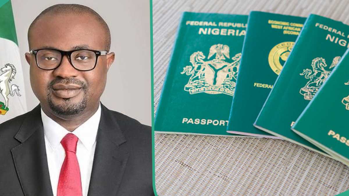 NIS releases official application portals for visas and passports