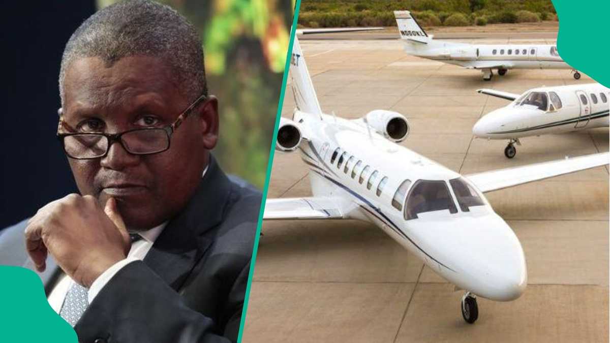 Dangote Slams Rich Africans Who Own Private Jets but Have No Factories