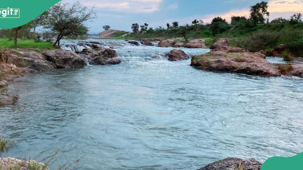 NDLEA officer dies in river as suspected drug offender escapes arrest
