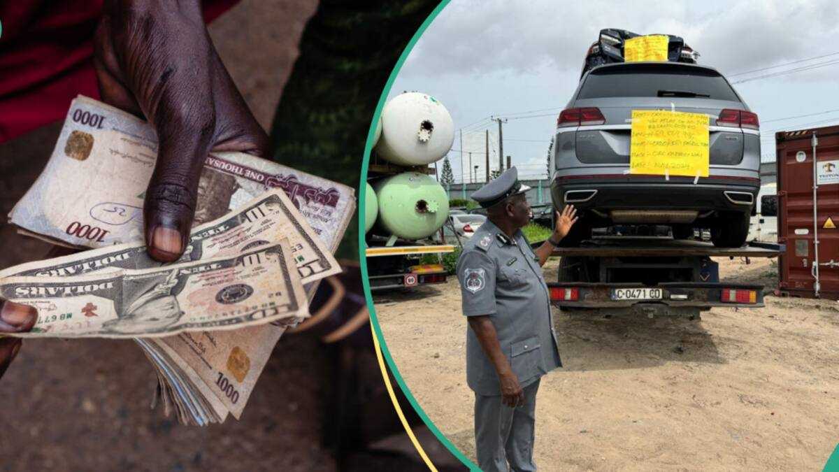 See Customs' new exchange rate to clear goods at ports as naira falls