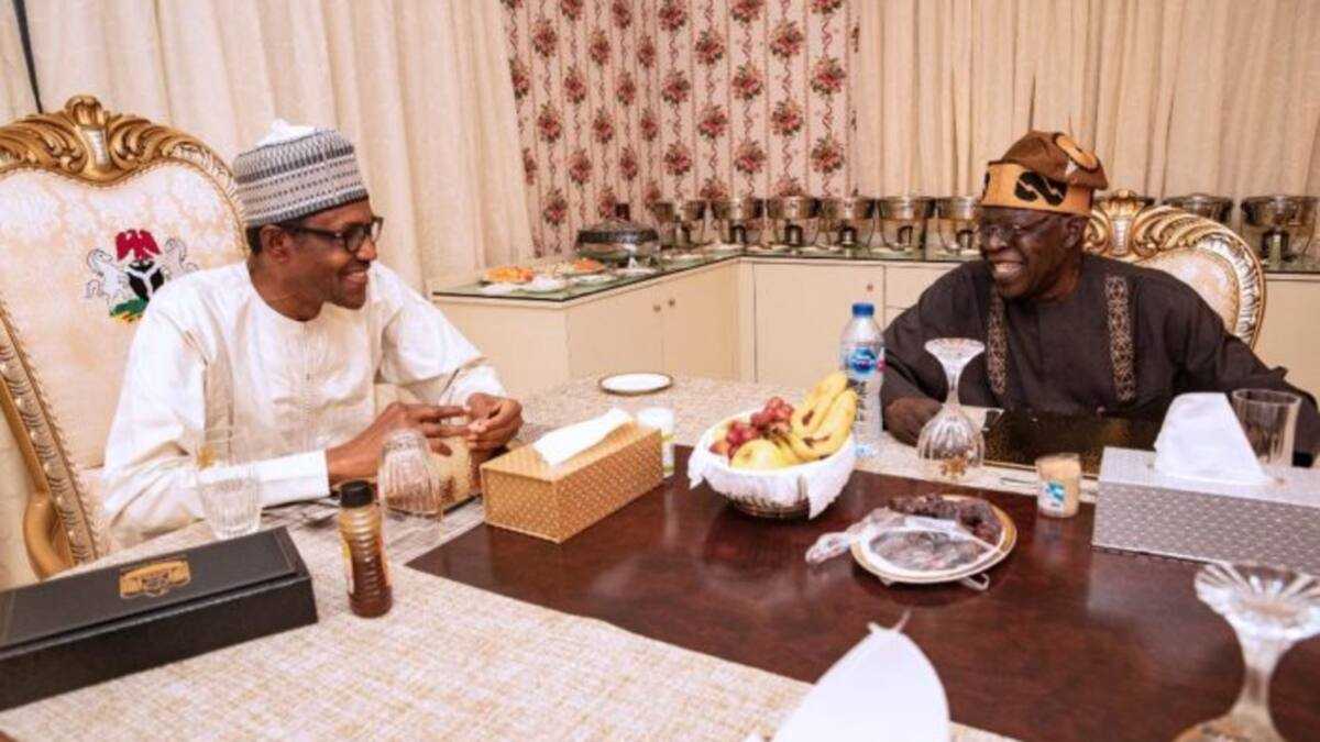President Buhari to Chair Tinubu’s 69th Birthday Colloquium - Legit.ng