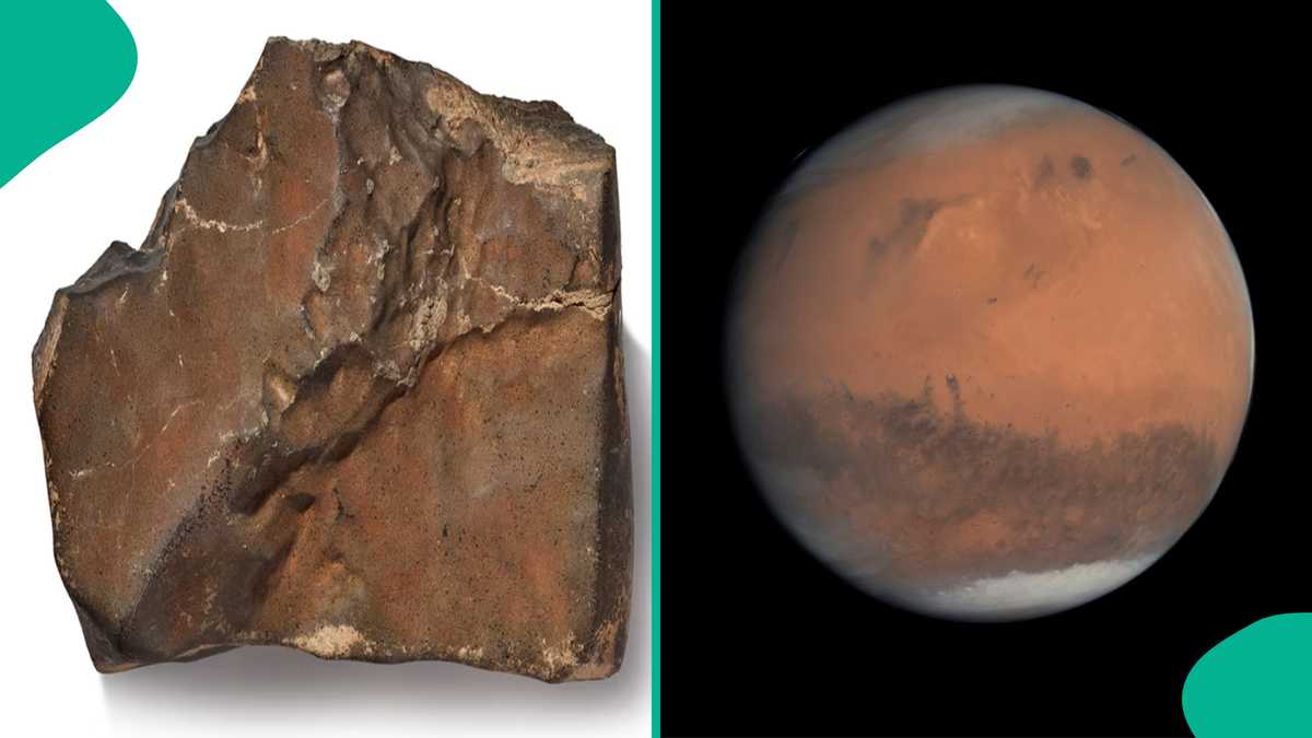 One Piece of Rock From Mars Sells For $4.3 Million in New York Auction