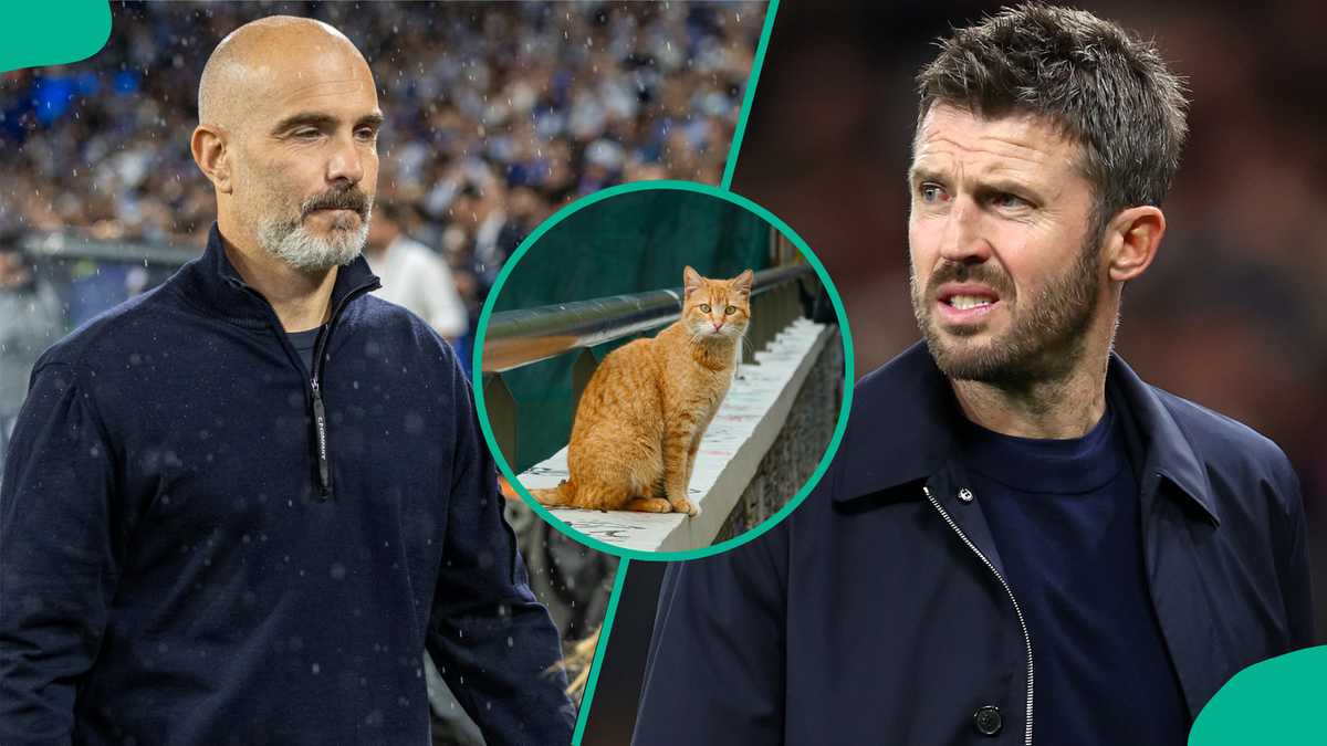 Premier League: Mysterious cat predicts Manchester United vs Manchester City