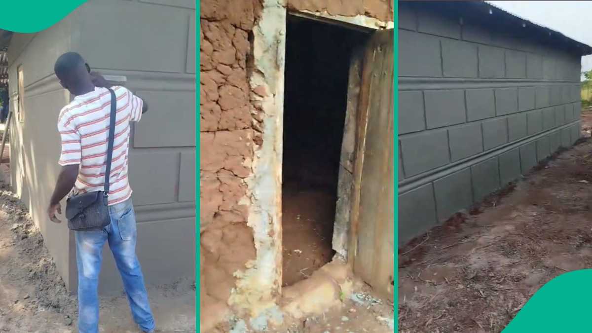 Man plasters mud house with cement, creates beautiful artwork on it, video trends