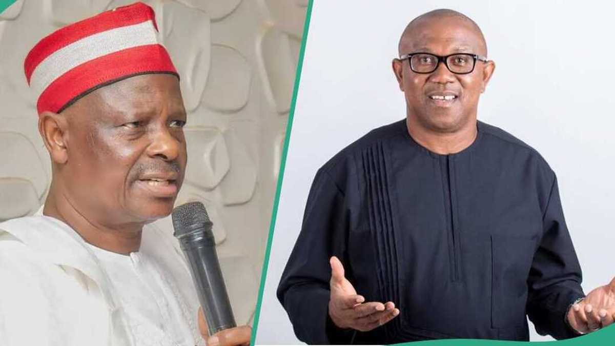 Kwankwaso speaks after Peter Obi convoy attack, read details