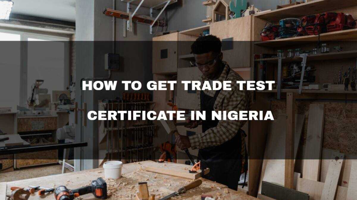 Computer Trade Test How to get Trade Test Certificate in Nigeria: a helpful guide - Legit.ng