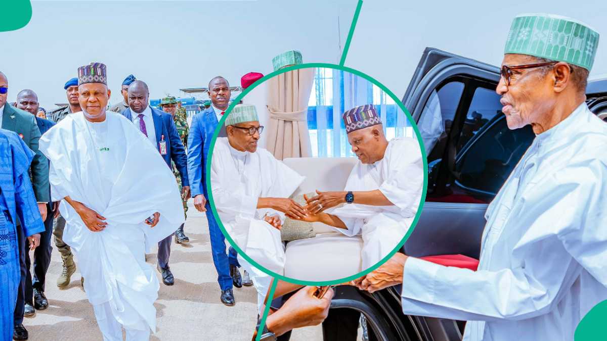 Tinubu Tells VP Shettima What to Do as Buhari Dies in UK - Legit.ng