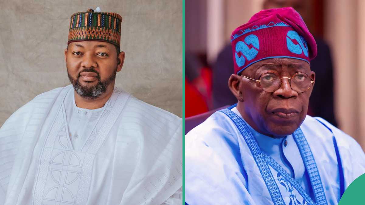 2027 election: APC chieftain drops bombshell, reveals reason Tinubu will be defeated