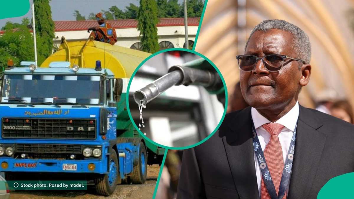 最近的燃油價格戰:丹格特、進口商因汽油否認跌至 N1,000 以下而奮戰