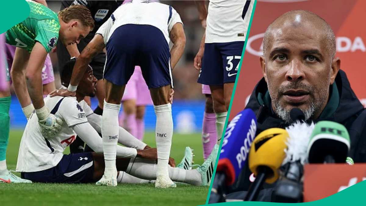Tosin Adarabioyo: Blow for Super Eagles as Nigeria-eligible Tottenham defender suffers major injury