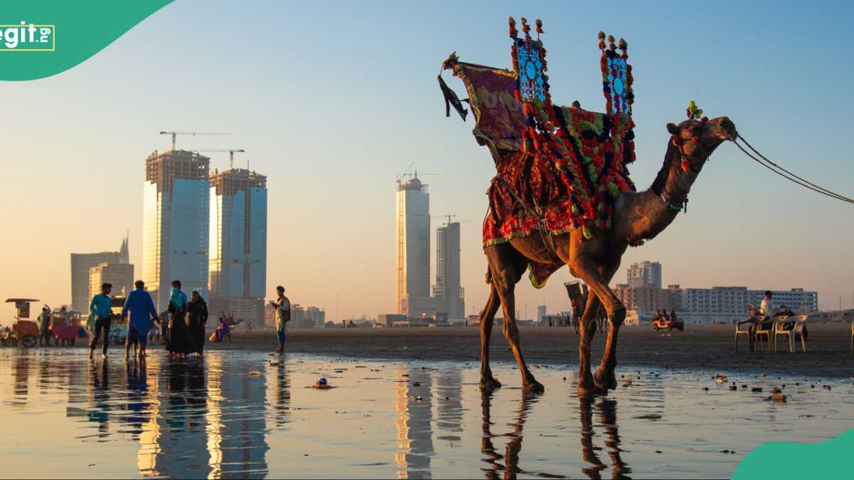 Updated list of countries Pakistani citizens can visit visa-free