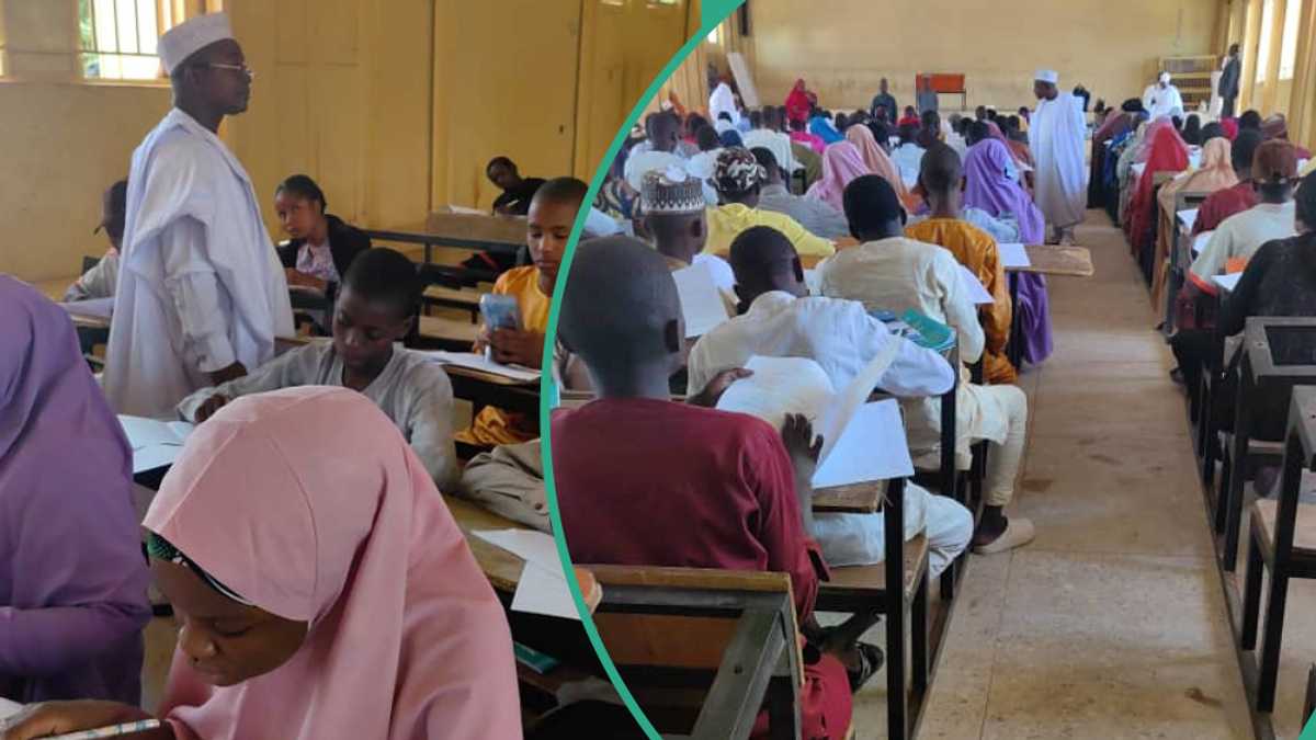 NECO 2026 SSCE results out: How to check yours online in 5 steps