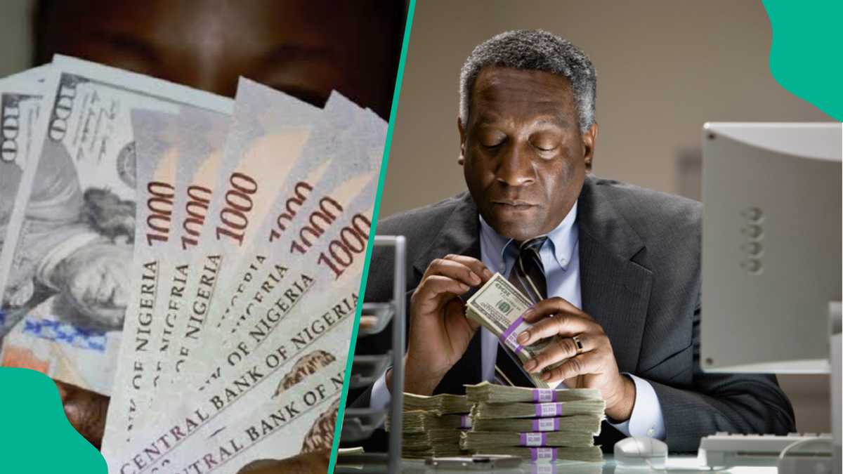 Find out more as BDCs risk suspension as CBN enforces new 24-hour FX rule