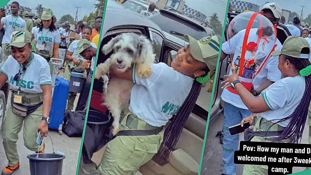 Female corper shares cute video of her man and dog pampering her after 3 weeks at NYSC camp