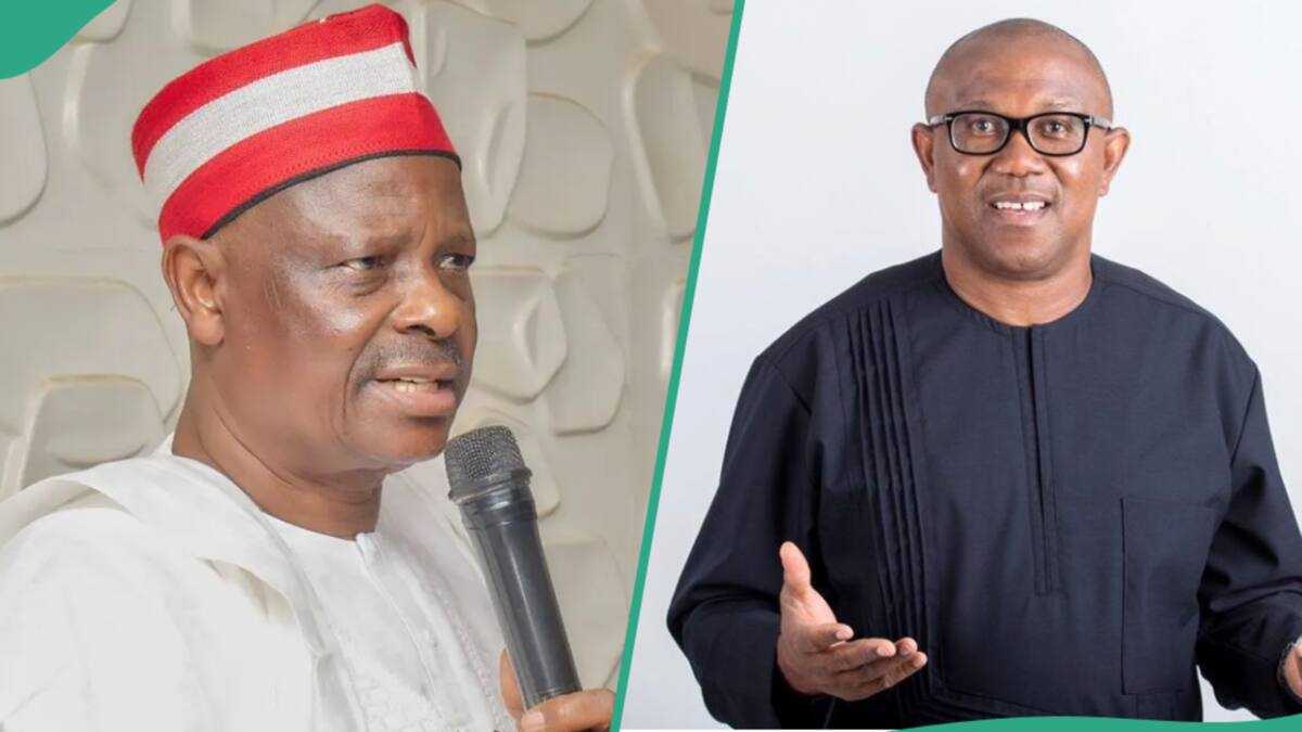 Magoya Magoya Bayan Kwankwaso Sun Gano Abokin Takarar da Ya Dace da Shi a ...