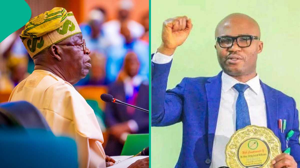 Nigerian businessman speaks on Tinubu's appointments amid claims of lopsidedness