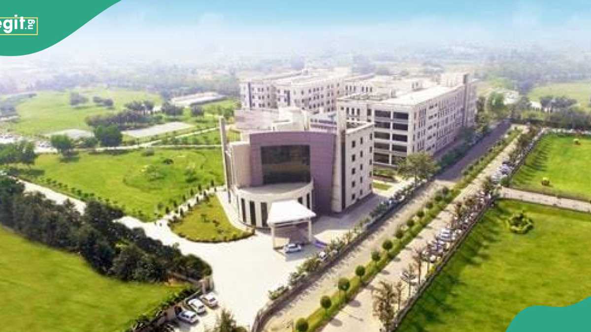“Even in my dream": 100 Sokoto students get foreign scholarship to India - Legit.ng