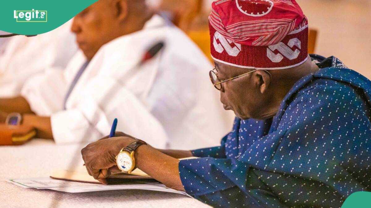 Just In: Tinubu Makes Over 500 Appointments, Full List, Details Emerge ...