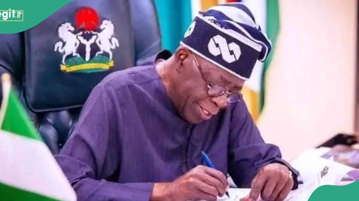 BREAKING: Tinubu Makes Fresh Appointment, Details Emerge - Legit.ng