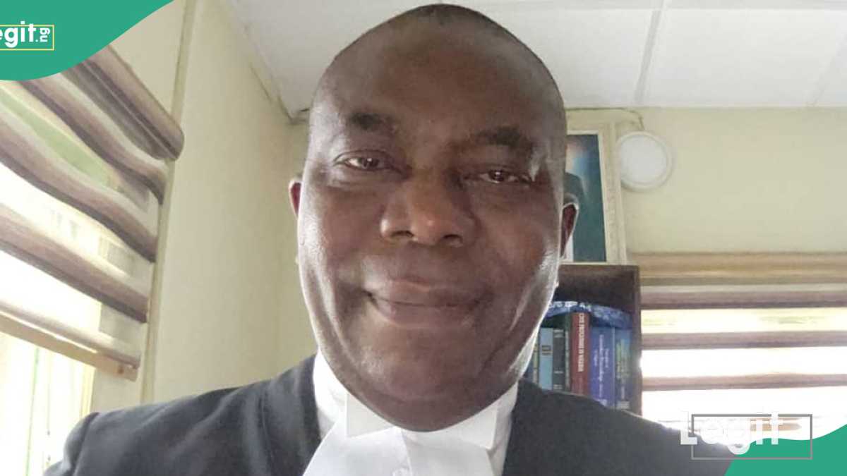 REVEALED: Popular lawyer discloses advantages and disadvantages of 'End Bad Governance' protest in Nigeria