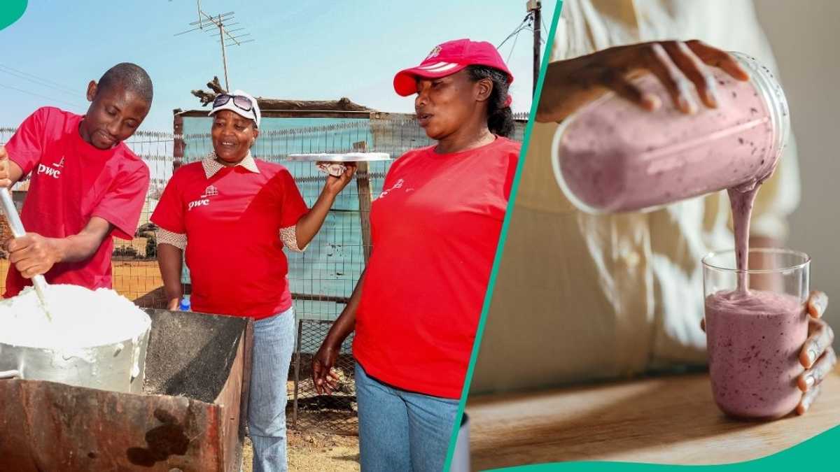 How to Start Yoghurt Business in Nigeria: Startup Cost, Equipment and Profit Potential