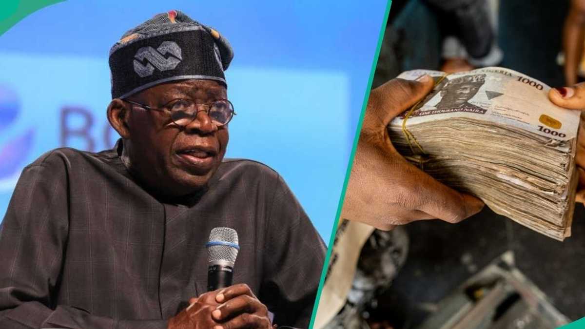 See how each Nigerian now owes over N669.30, analysis shows family of 5 debt
