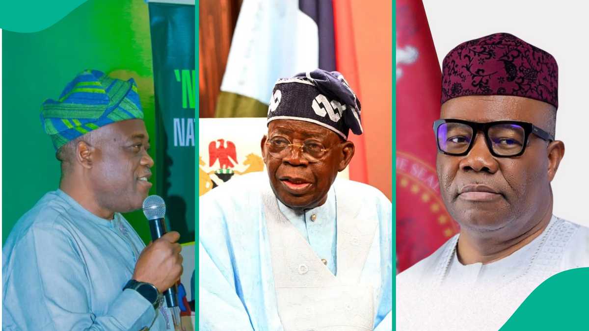 Why we stand with Tinubu, Oyo rep speaks, reacts to rubber stamp allegation