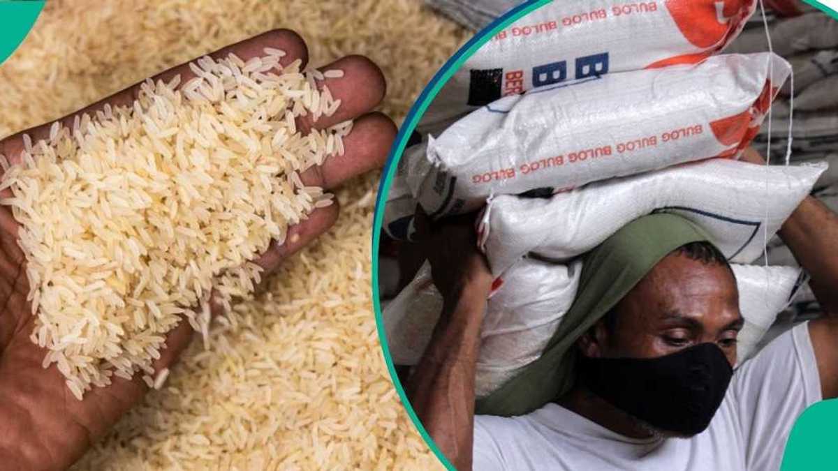 Foreign Rice Vs. Local Rice Local Rice Now Costs N112,000 Per 50kg Bag as Food Prices Surge Across ...