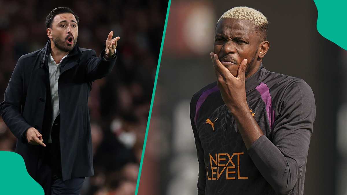 Davide Ancelotti shares plan to stop Osimhen during Lille vs Galatasaray Champions League match Image
