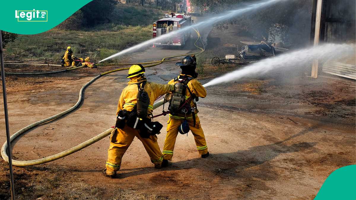 Photo: legit.ng Wildfire