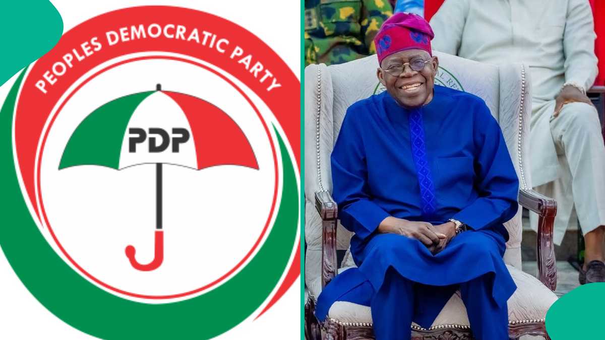 Did PDP endorse Tinubu for second term? See real fact