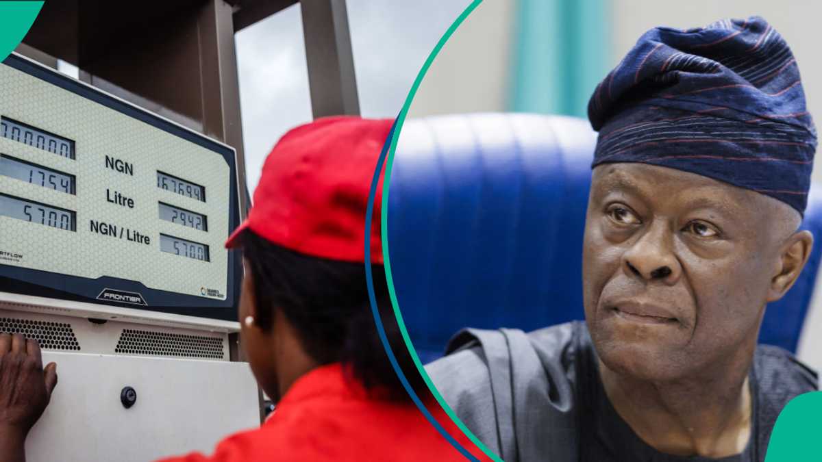 See why Tinubu govt is proud to remove fuel subsidy despite high inflation