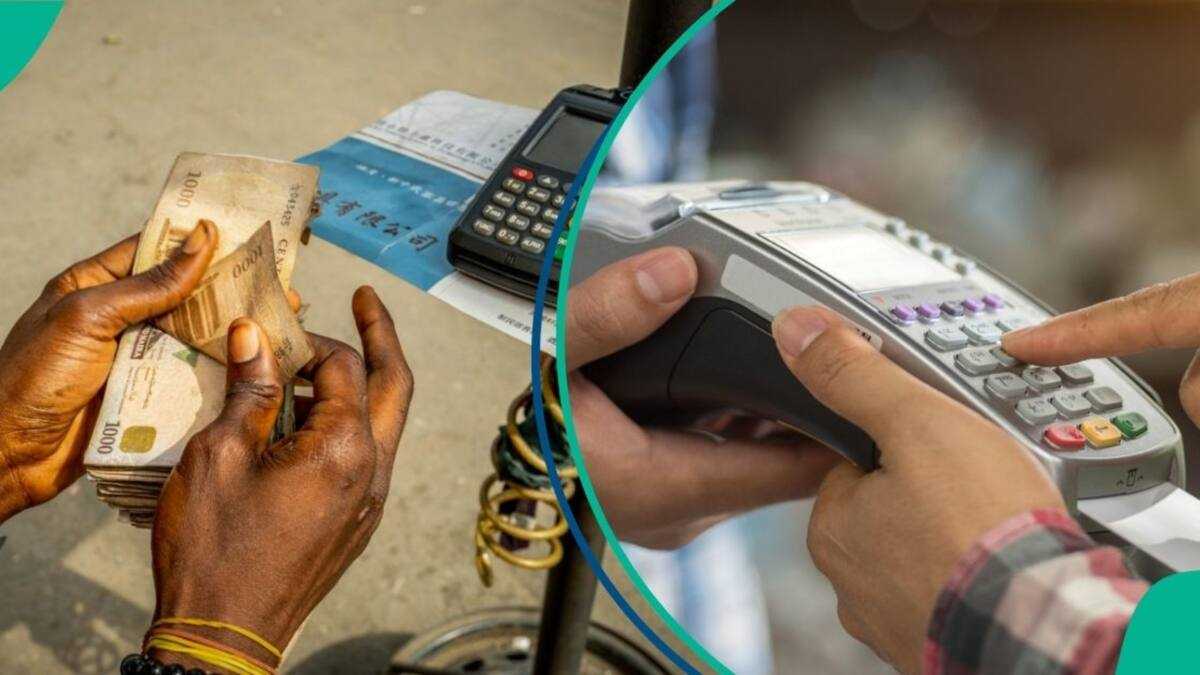 “No More Bank Fees”: PalmPay Introduces Free Bank Transfers on ...