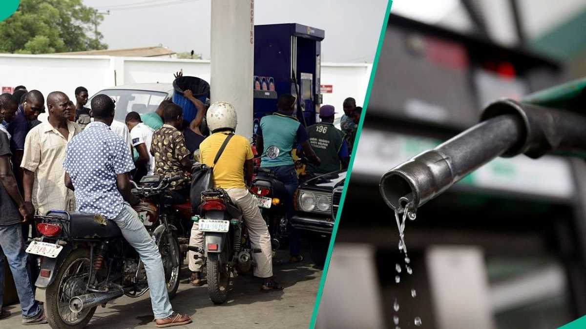 Find out more as FG sends message to Dangote, marketers on pricing