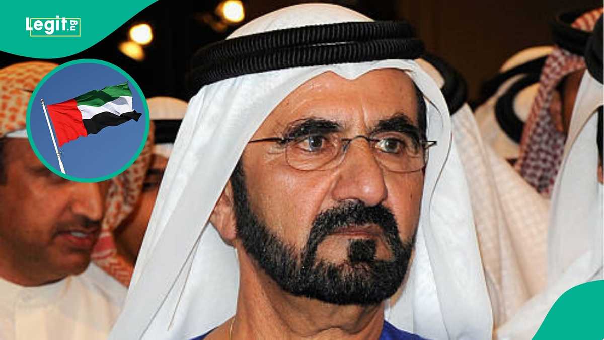 UAE names 2 African countries eligible for visa-on-arrival programme