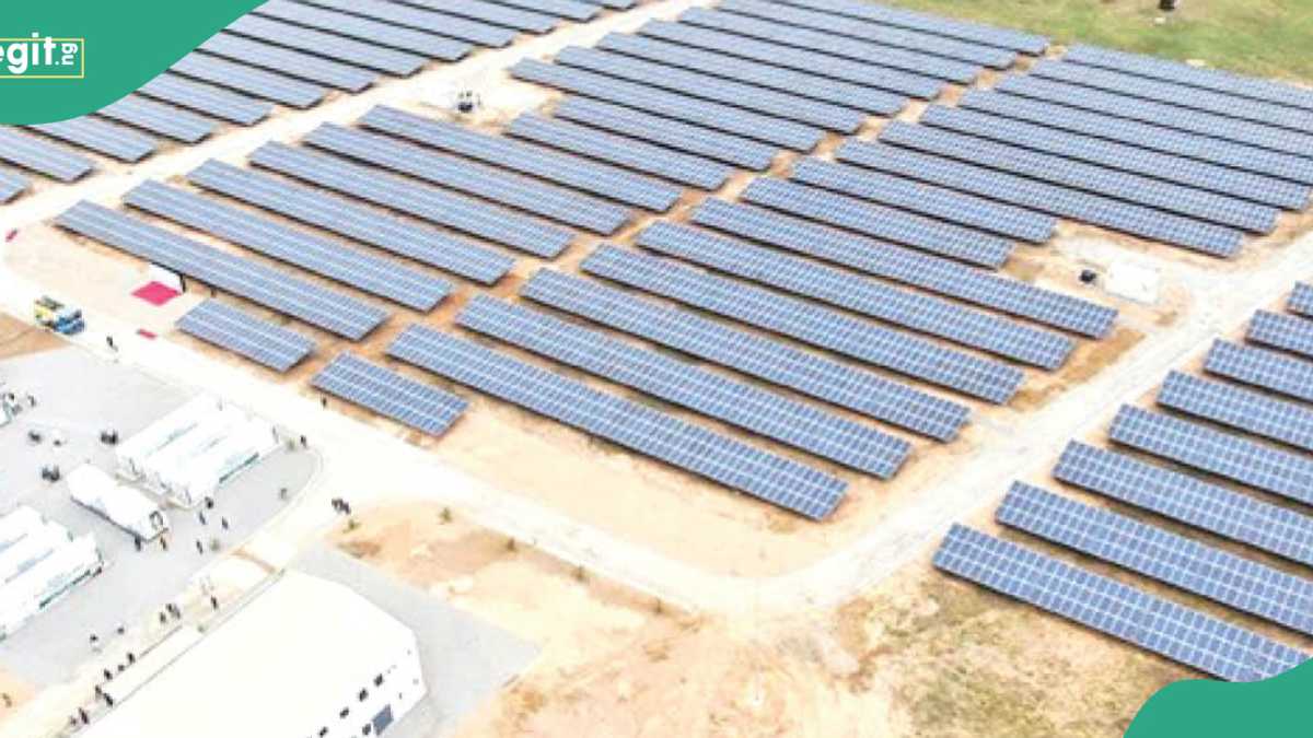 BUK's N5.6bn solar power plant collapses two years after launch