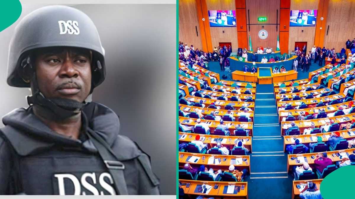 DSS urges Nigeria’s lawmakers to reject foreign funding for Security Trust Fund