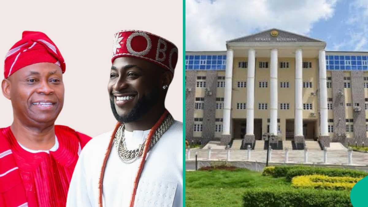 Adeleke University closes admission to 1 specific department for 2026/2027 session