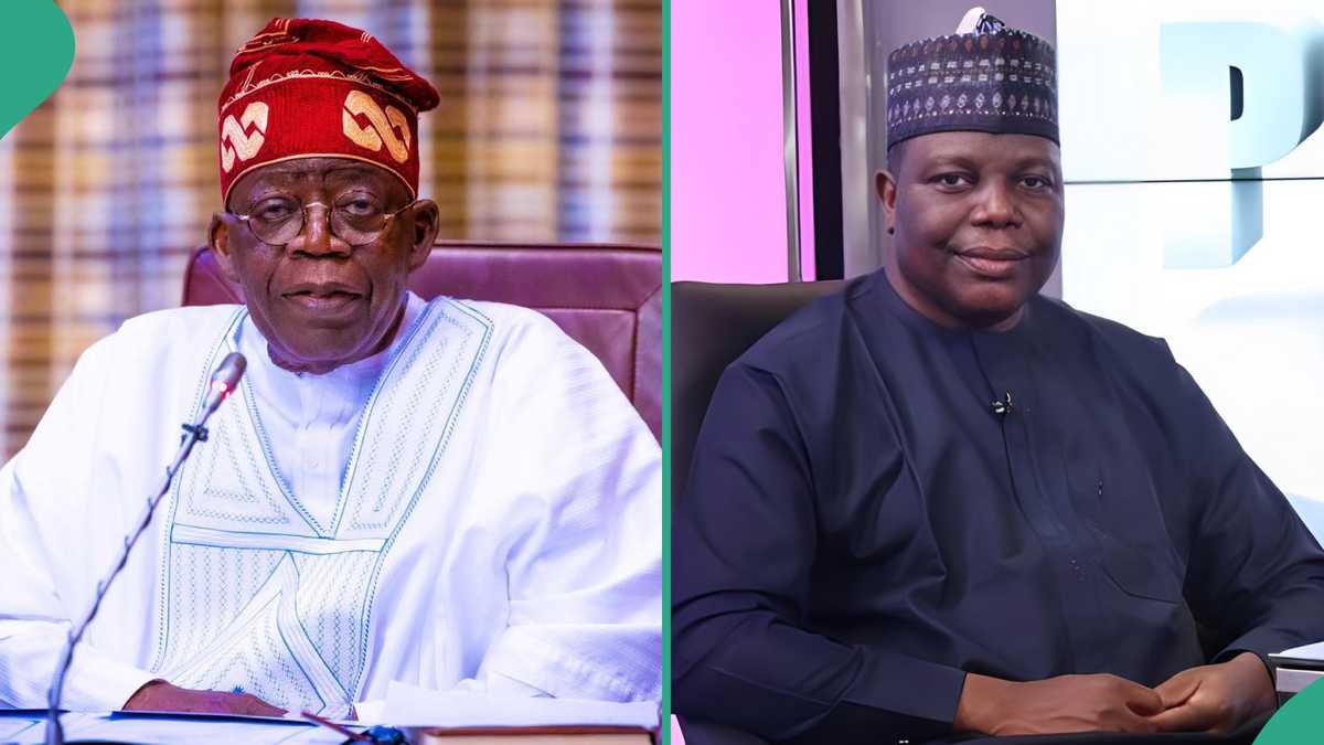 Tinubu Announces Reappointment of Top Govt Official, Details Emerge ...